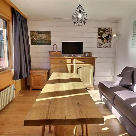 2 Pieces Skis Aux Pieds - Balcon, Animaux Ok Appartement
