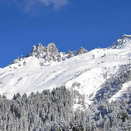 2 Pieces Skis Aux Pieds - Balcon, Animaux Ok * Les Allues