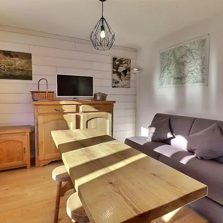 2 Pieces Skis Aux Pieds - Balcon, Animaux Ok Appartement